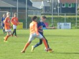 ST D.Z.C. '09/S.K.N.W.K. JO13-1 - ST Lebo/SVN/VVB/Patrijzen JO13-1 (competitie) seizoen 2022-2023 (voorjaar - 3e fase)) (19/81)